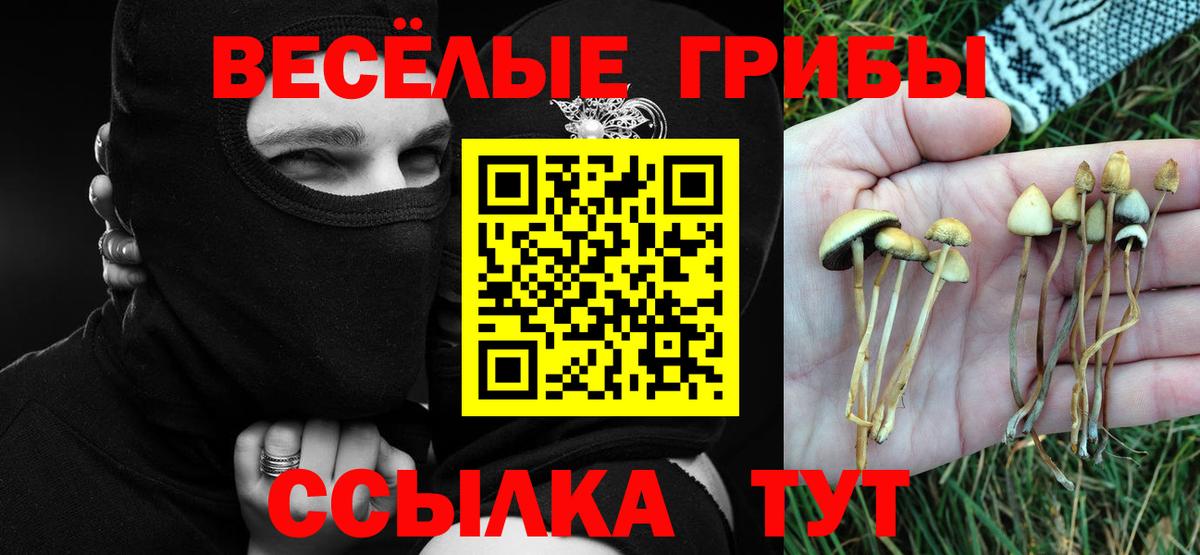 Галлюциногенные грибы ЛСД Коркино