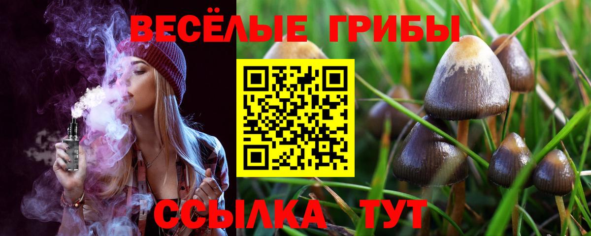 Коркино  Галлюциногенные грибы ЛСД  Вход с VPN 