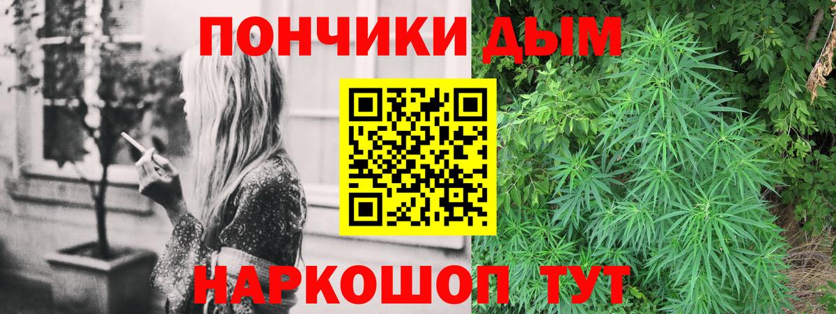 МАРИХУАНА сатива Коркино